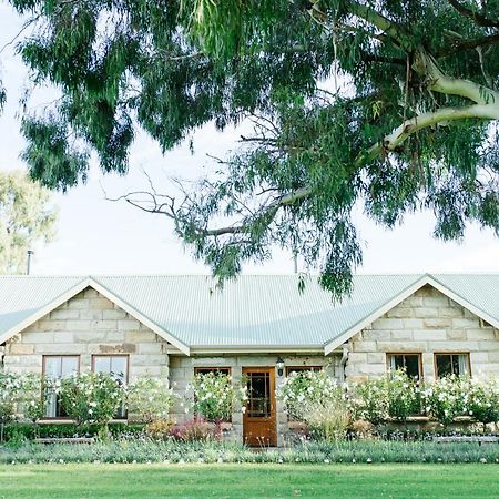 קלרנס Baris Guesthouse מראה חיצוני תמונה